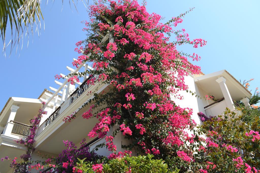 Delfino Blu Wellness Boutique Hotel Agios Stefanos Avliotes  Exterior foto